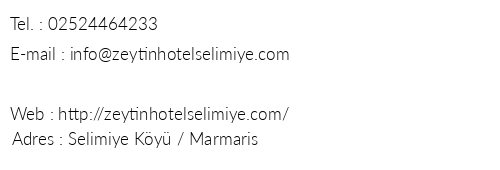 Zeytin Hotel telefon numaralar, faks, e-mail, posta adresi ve iletiim bilgileri